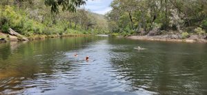 November 3 Field Day – Lake Eckersley, Heathcote…